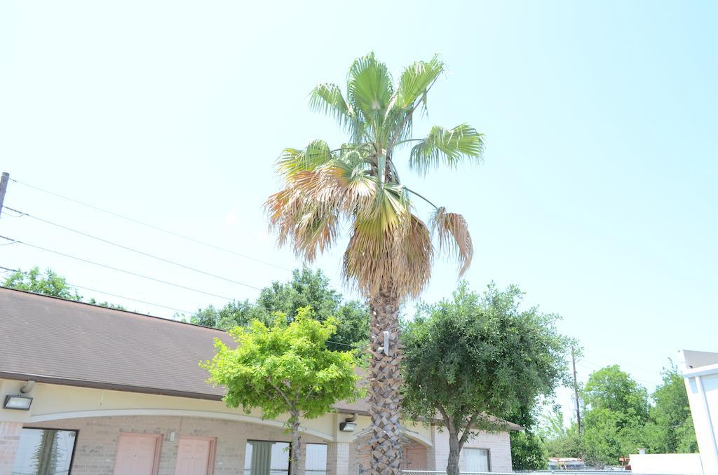 Texan Inn & Suites Louetta Exterior photo